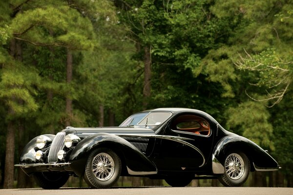 Schwarzes Retro-Auto auf der Straße im Wald