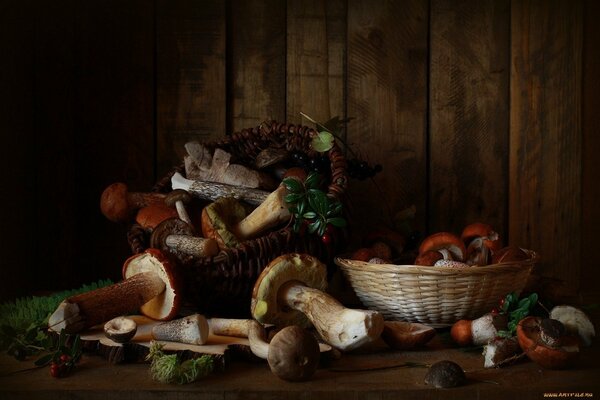 A basket of collected mushrooms in a dark corner