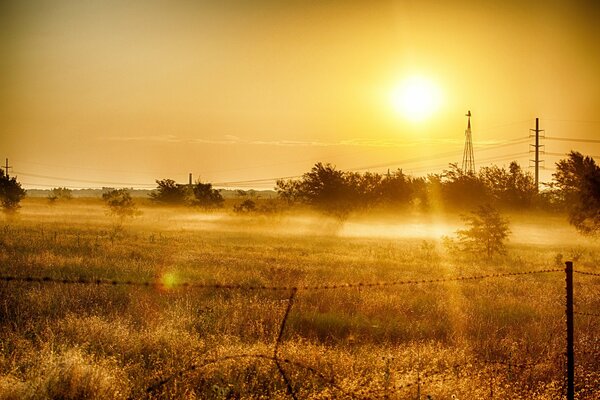 Il sole splende sul campo e sugli alberi