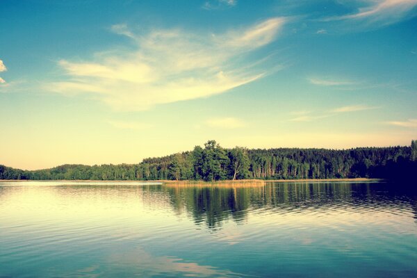 Photo d été du lac et de la rive verte