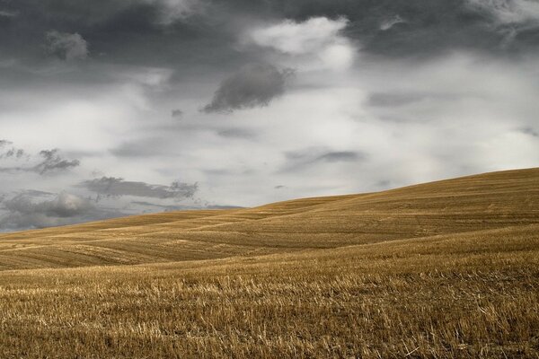 Hilly field and gray clouds