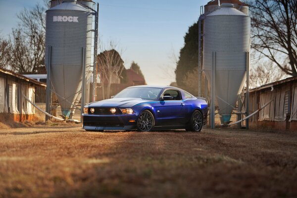 Stilvolles Bild eines lila Ford Mustangs