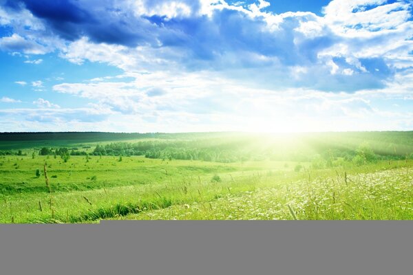 Sommerlandschaft mit Feld und Wolken