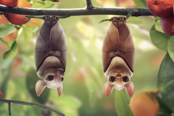 Two bats on a tree