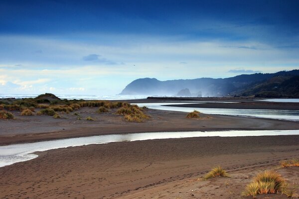 Landscape sandy beach with a stream