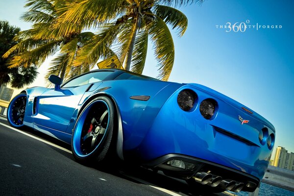 Auto sportiva blu sotto la Palma