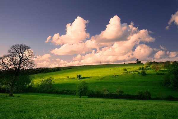 Ярко-зелёный луг с облаками на небе