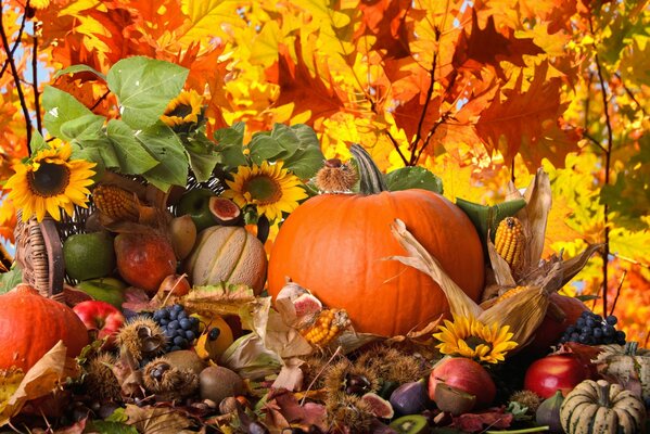 Buntes Bild der Geschenke des Herbstes