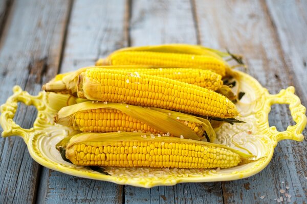 Yellow ears of corn on a tray