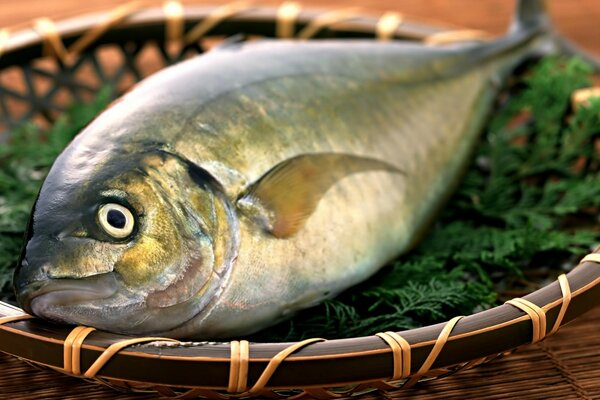 Fish on grass green leaves