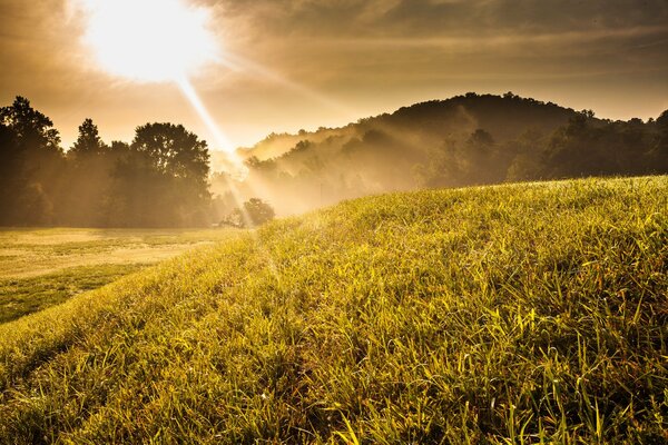 Солнце светит на холмы и траву