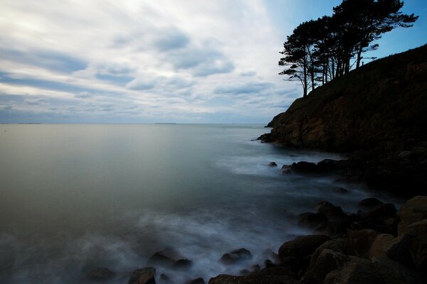 Trees on the mountain above the seashore at dawn