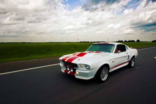 La Mustang Shelby