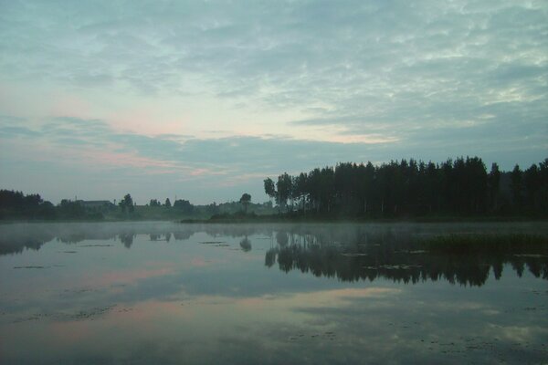 Niebla sobre el lago entre los árboles