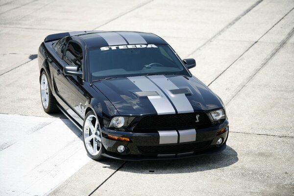 Mustang negro Shelby gt500 con dos rayas plateadas