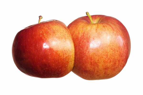 Red ripe apples on a white background