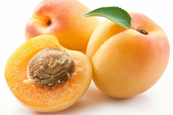 Three peaches on a white background