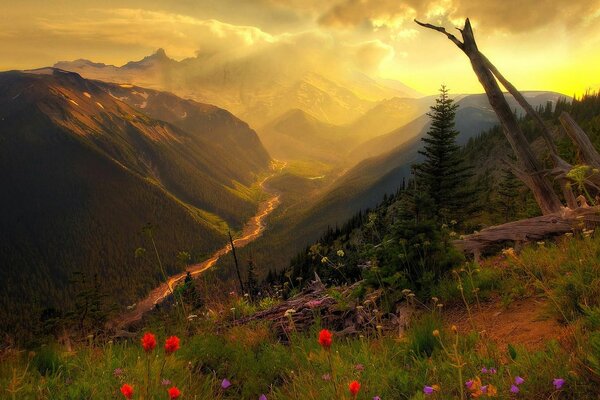 Fog, mountains and clouds on the background of sunset