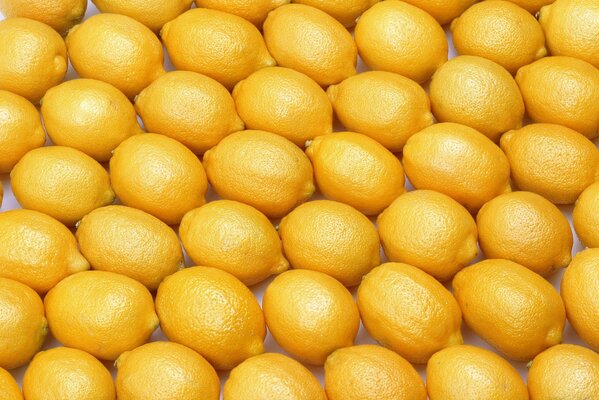 Background of yellow lemons