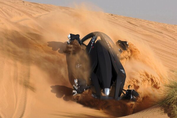 Imagen protatipo en las arenas del desierto