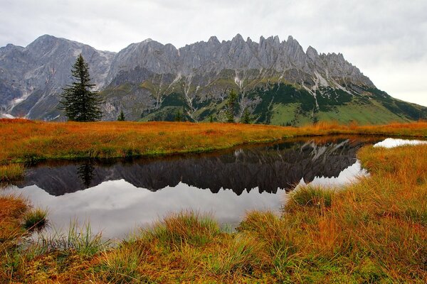 Paesaggio della montagna natura d autunno