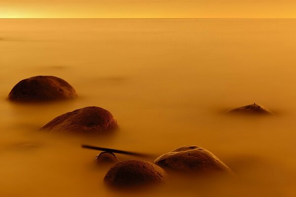 Costa rocosa en niebla amarilla al amanecer