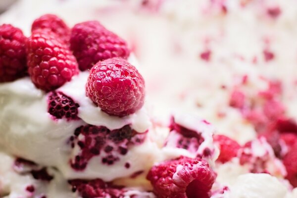 Gâteau à la crème glacée à la framboise