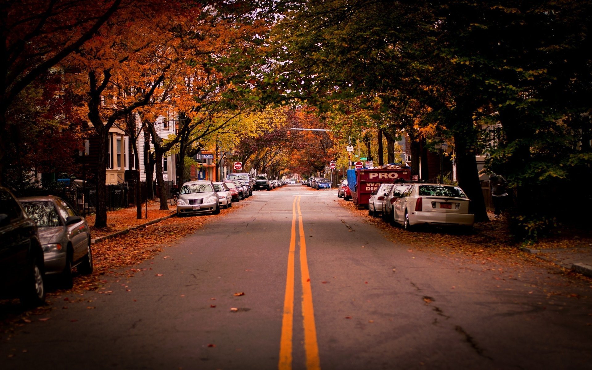 cambridge cambridge trees cars usa road