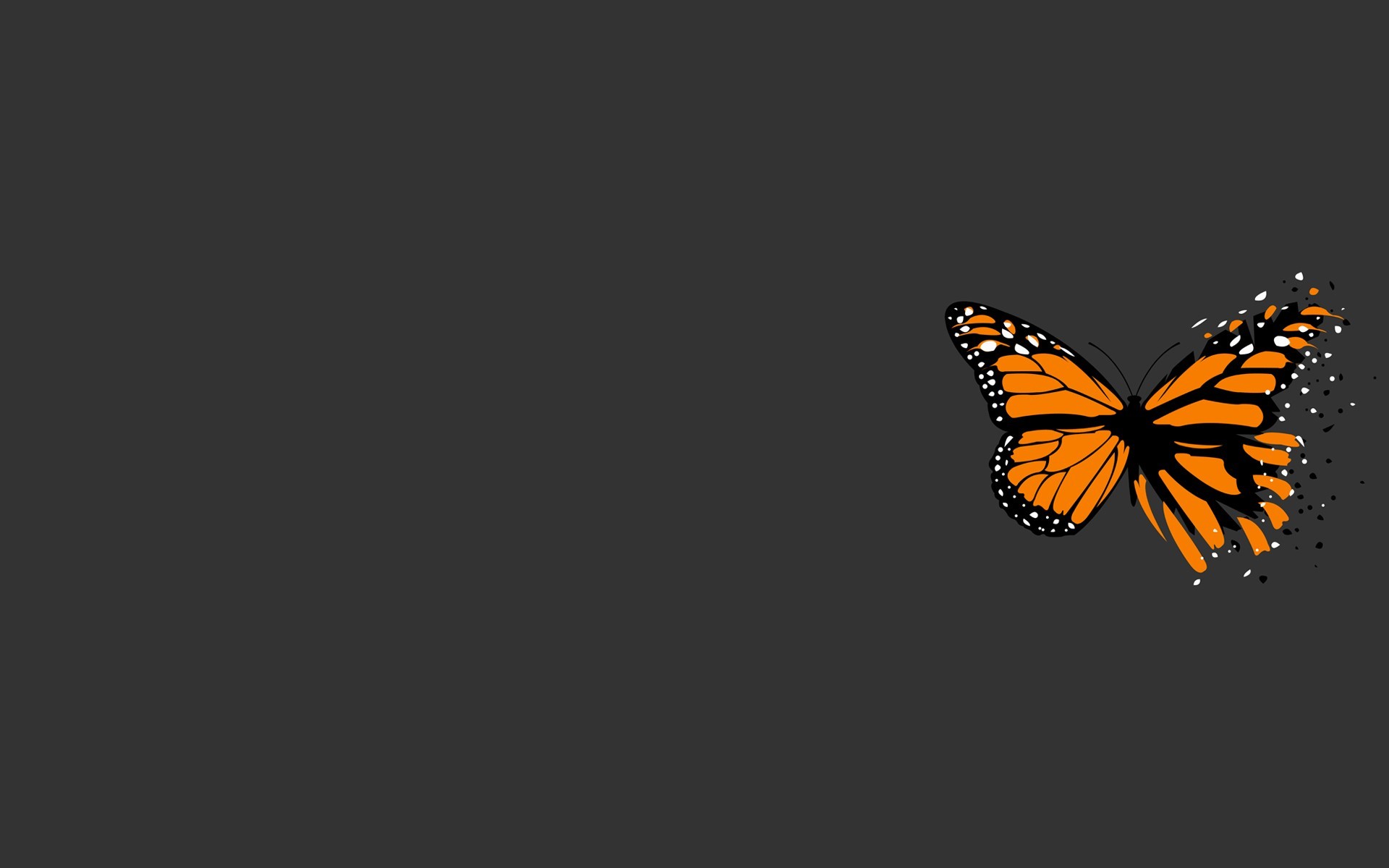 butterfly grey minimalism