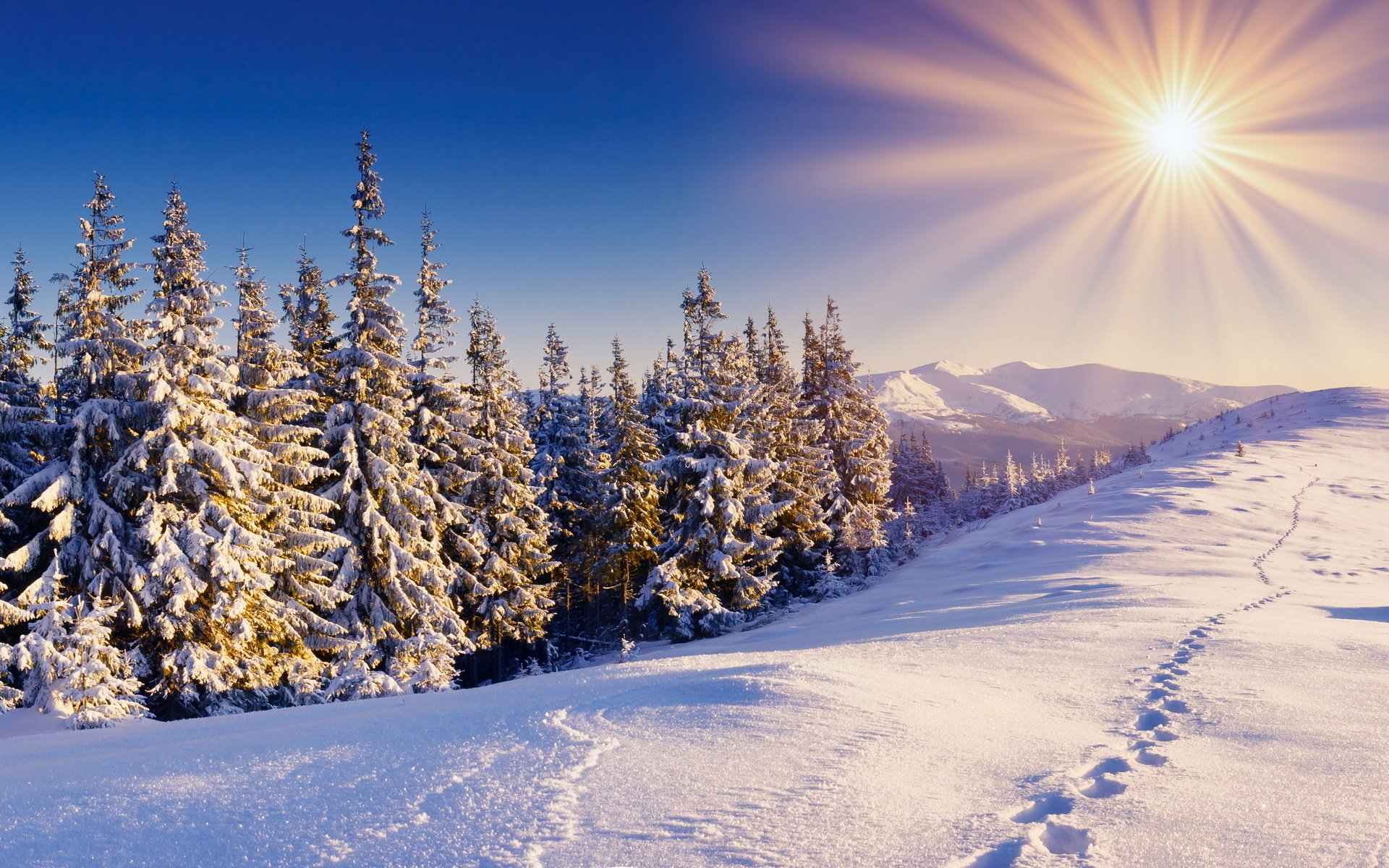 impronte paesaggio innevato neve sole abete rosso inverno