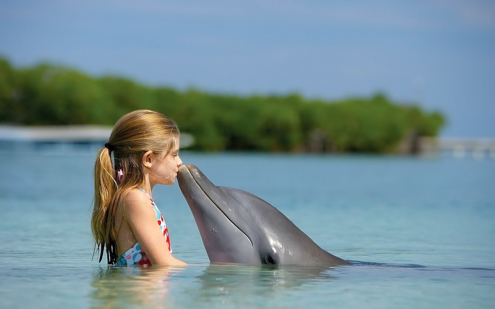 dolphin sea ocean kiss girl