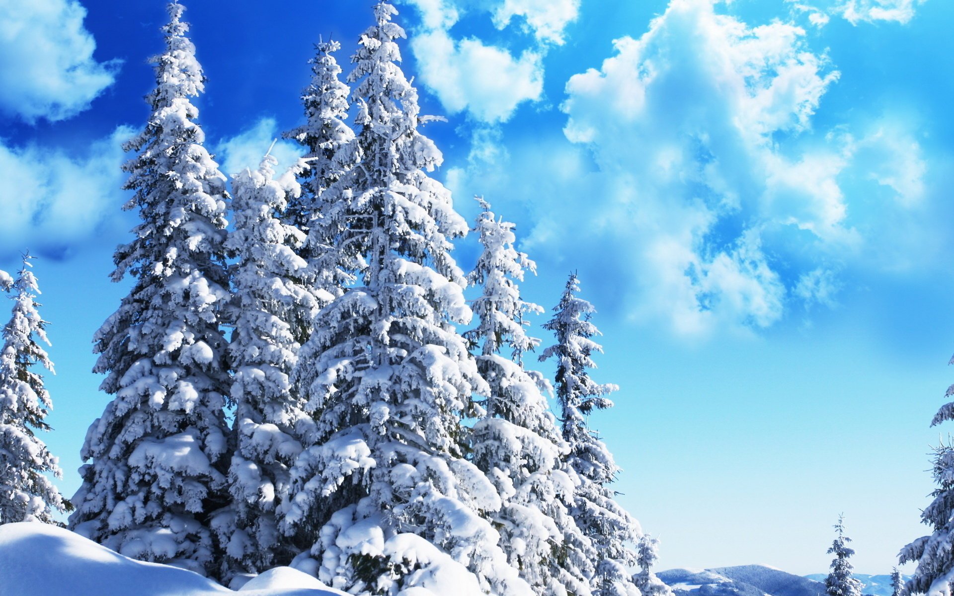 innevato abete rosso cielo inverno nuvole