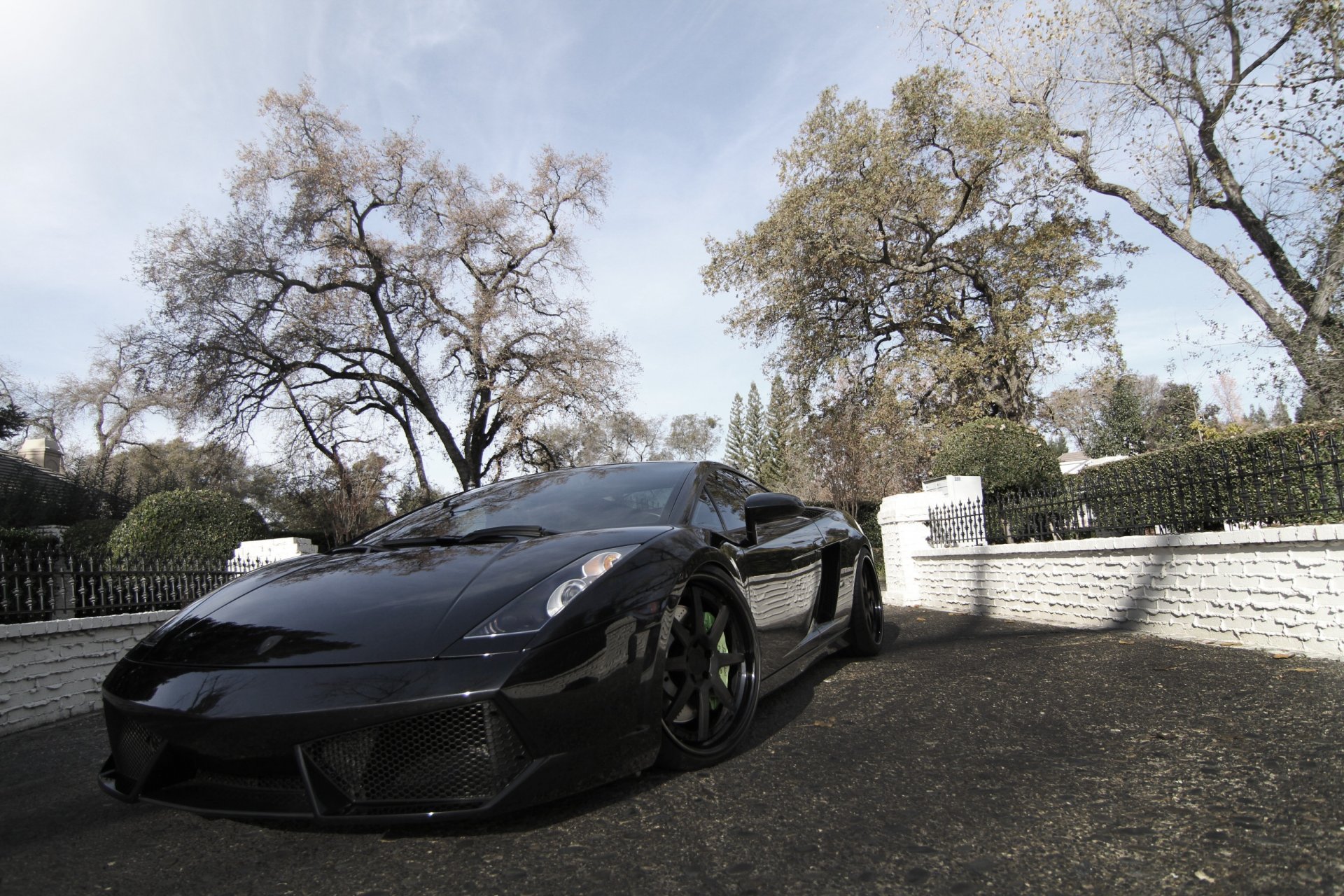 lamborghini gallardo lp540-4 negro ruedas lamborghini gallardo tonificado frente reflexión árboles cielo nubes