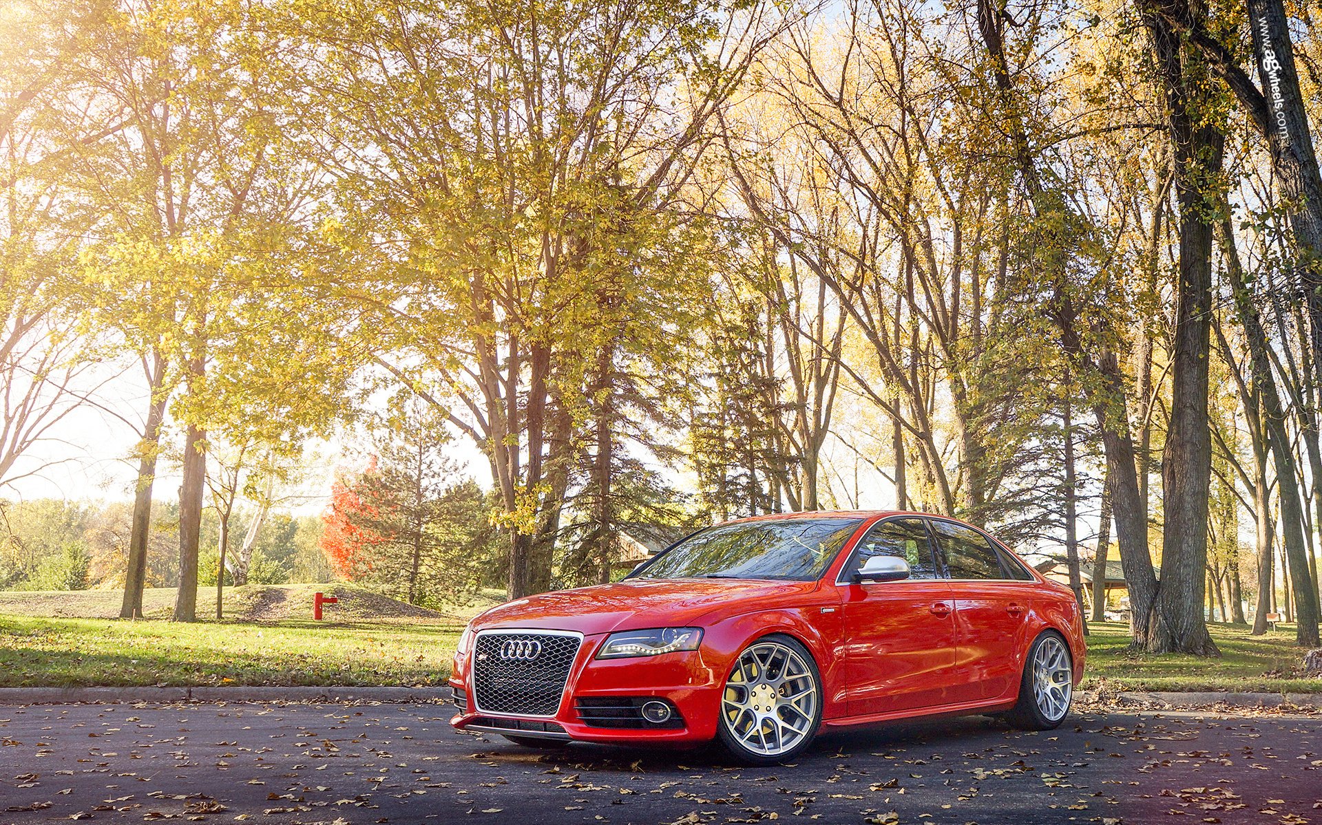 audi s4 rojo audi rojo parque