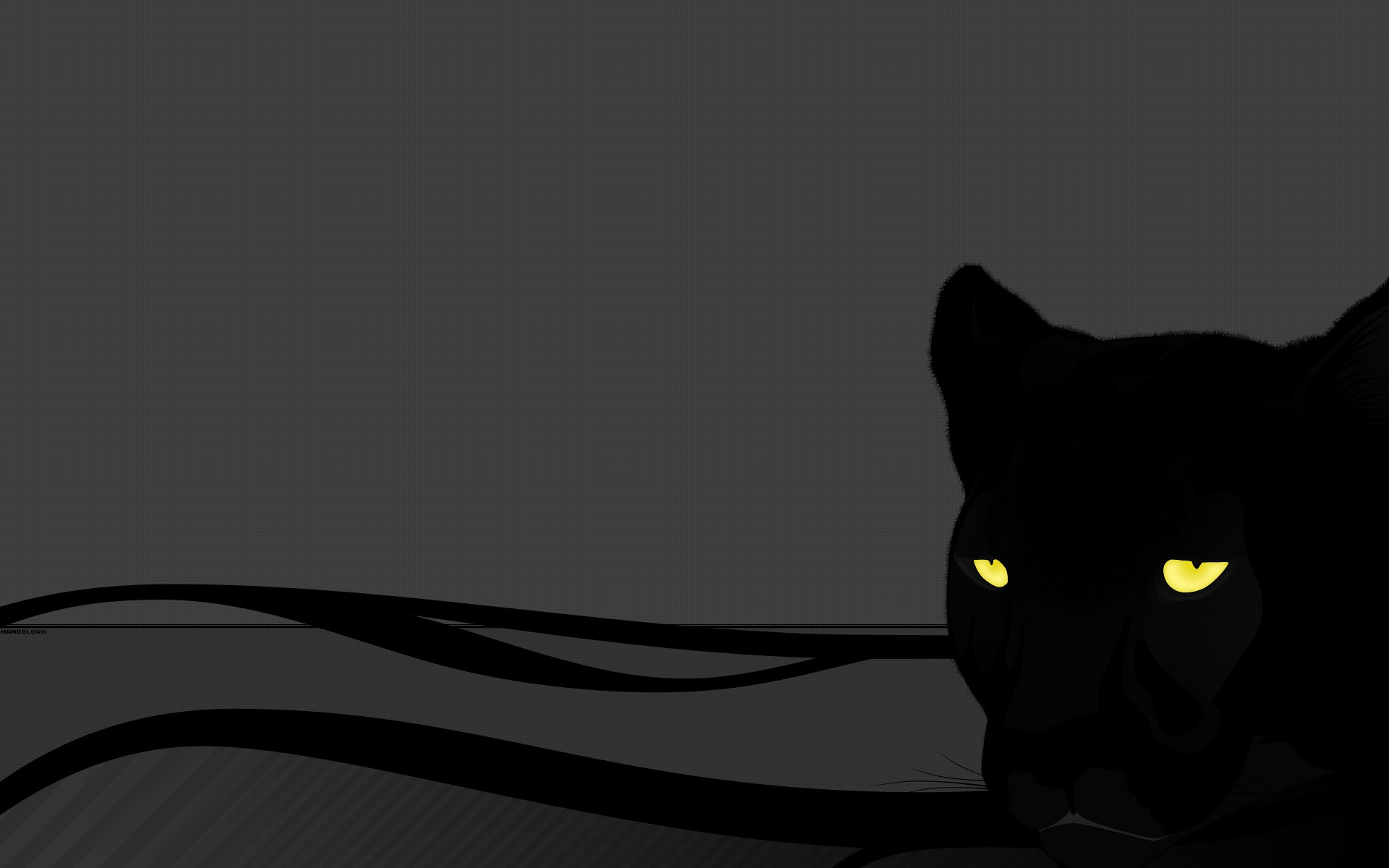 panther eyes cat grey