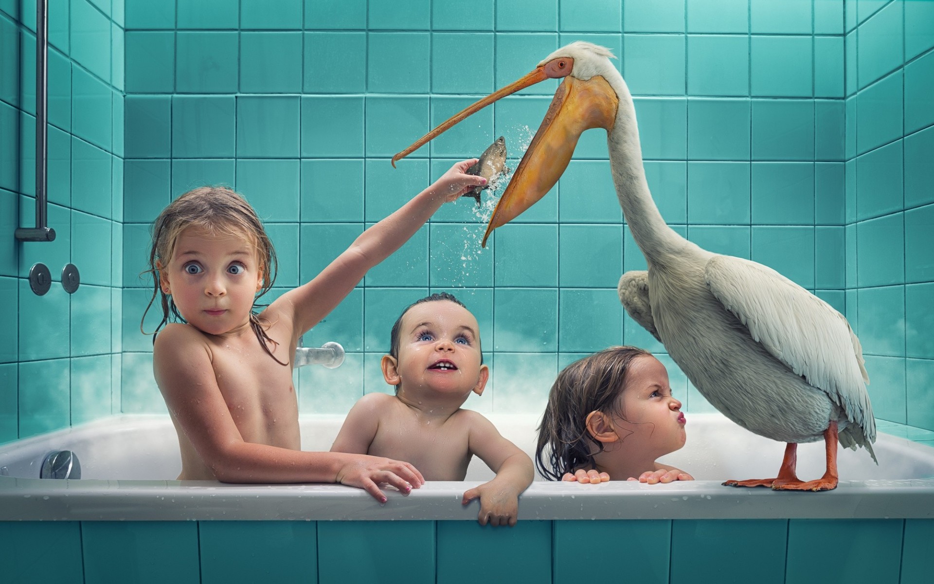 pelican boys children birds bath swimming situation fish girl