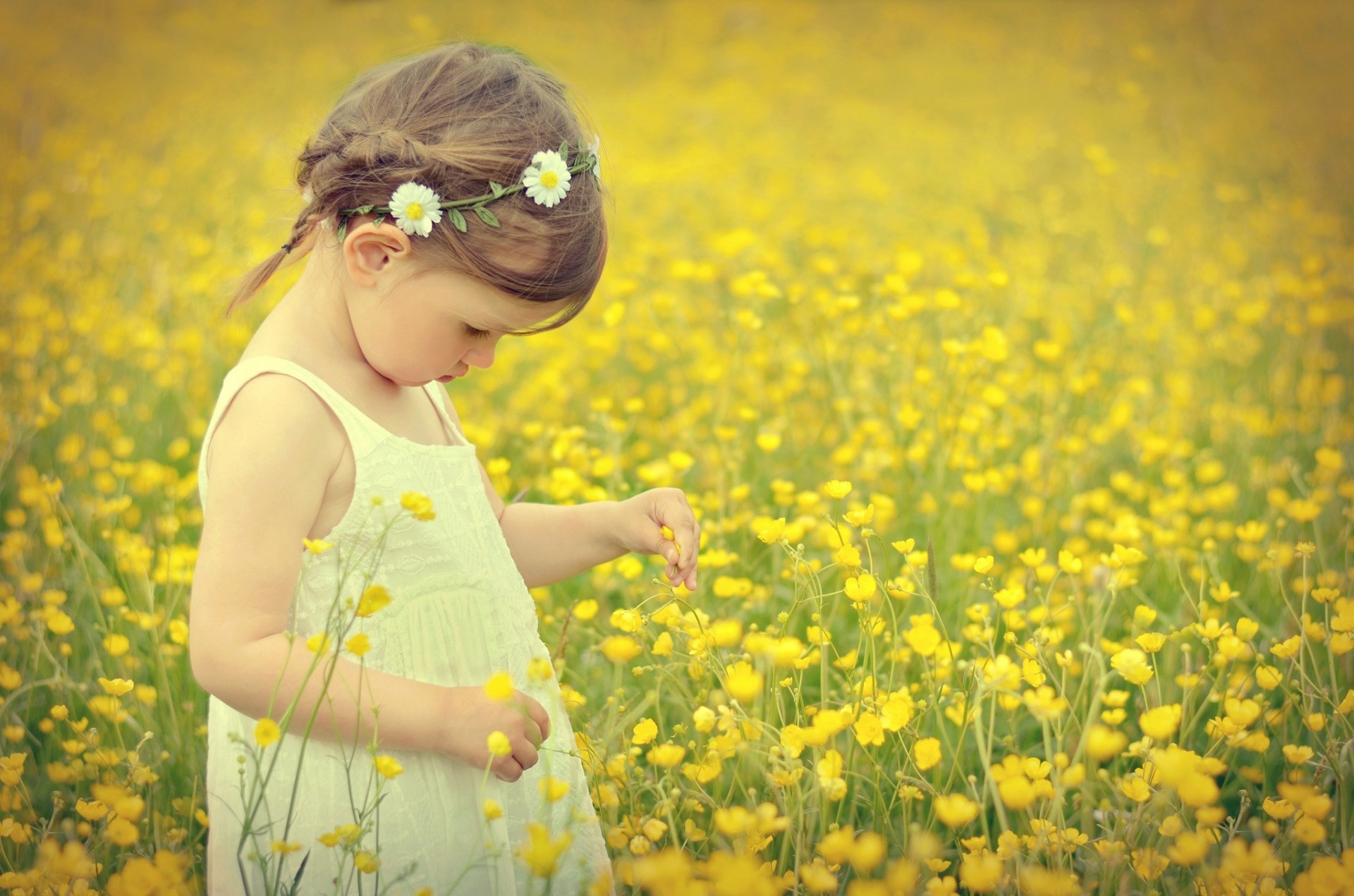 champ humeur fille fleurs