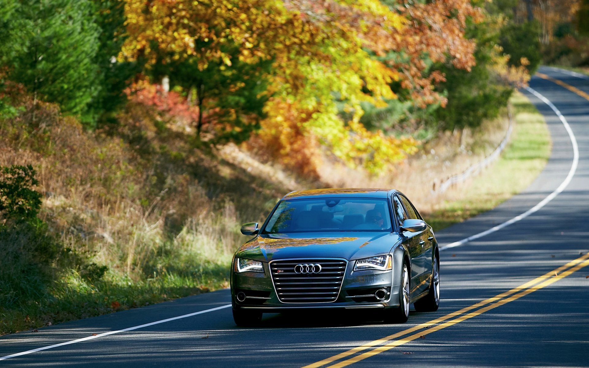 audi s8 auto sedán frente carretera árboles calle