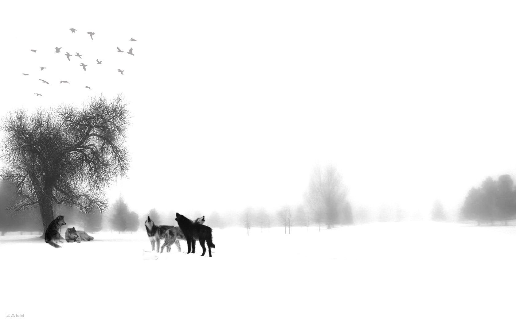 aves invierno lobos bandada velo blanco