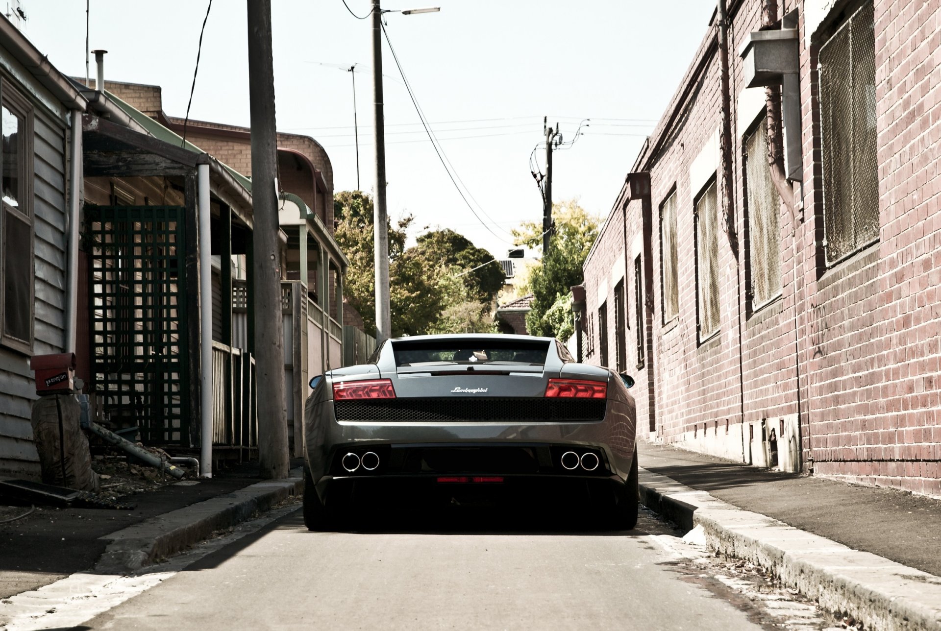 lamborghini gallardo lp560-4 szary lamborghini gaillardo tył aleja słupy drzewa