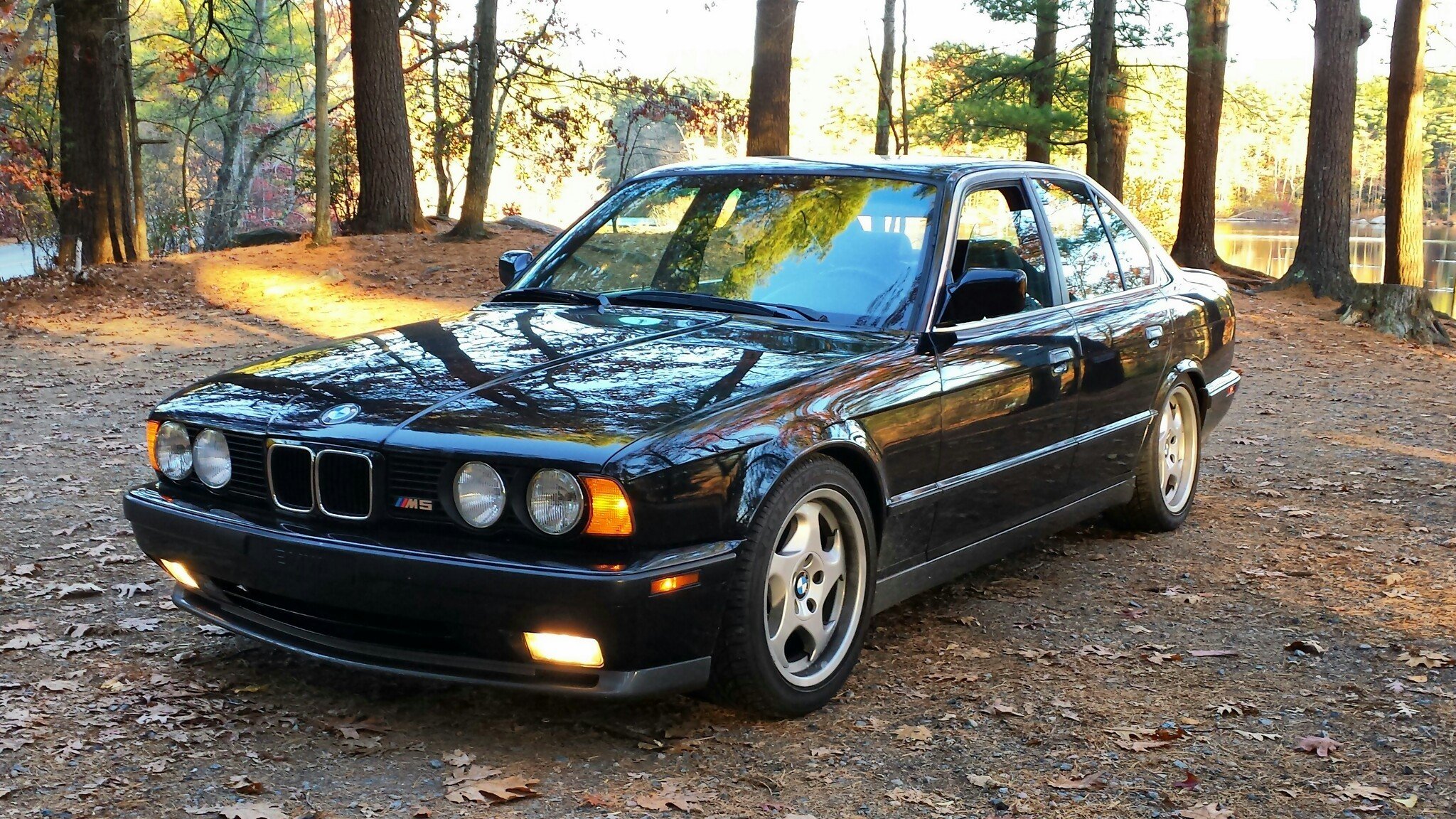 bmw e34 m5 clásico bmw naturaleza