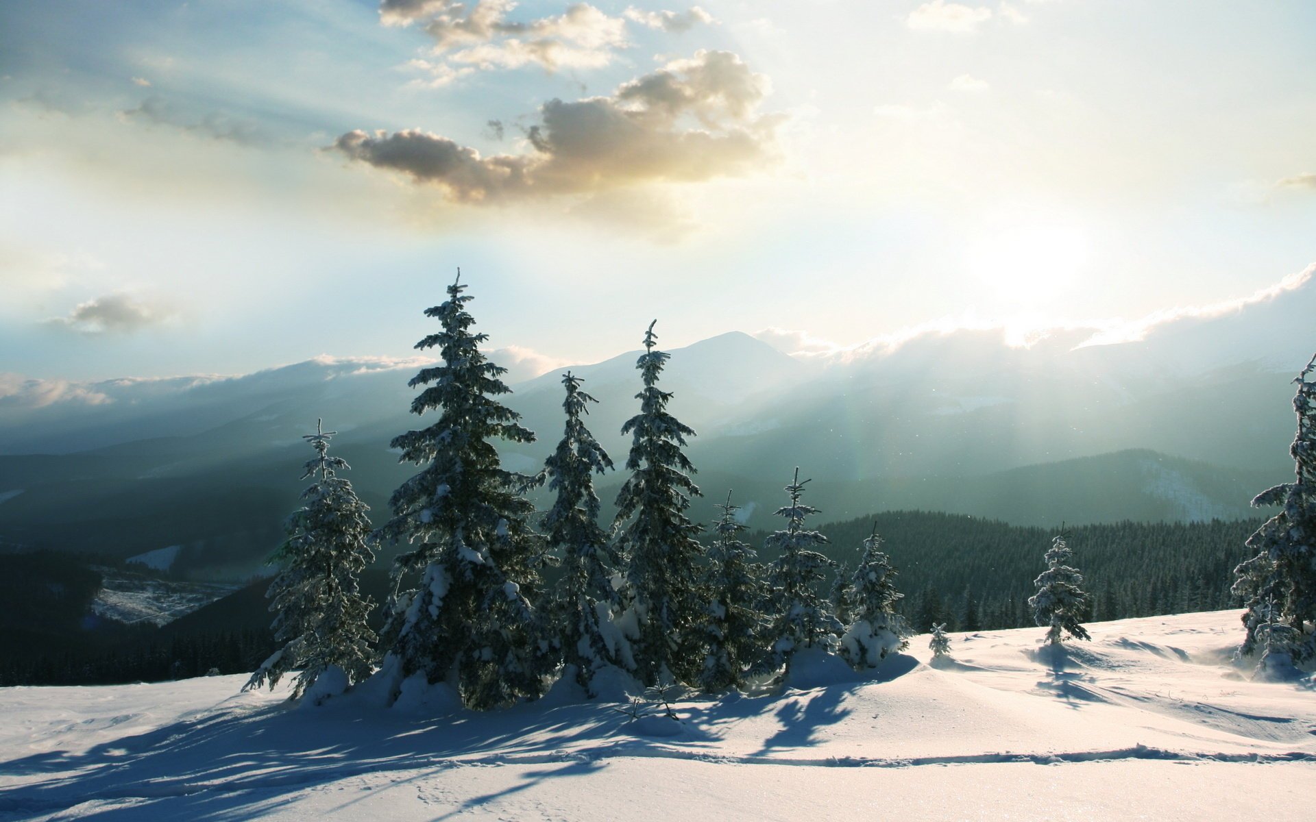 glanz himmel weihnachtsbäume winter schnee