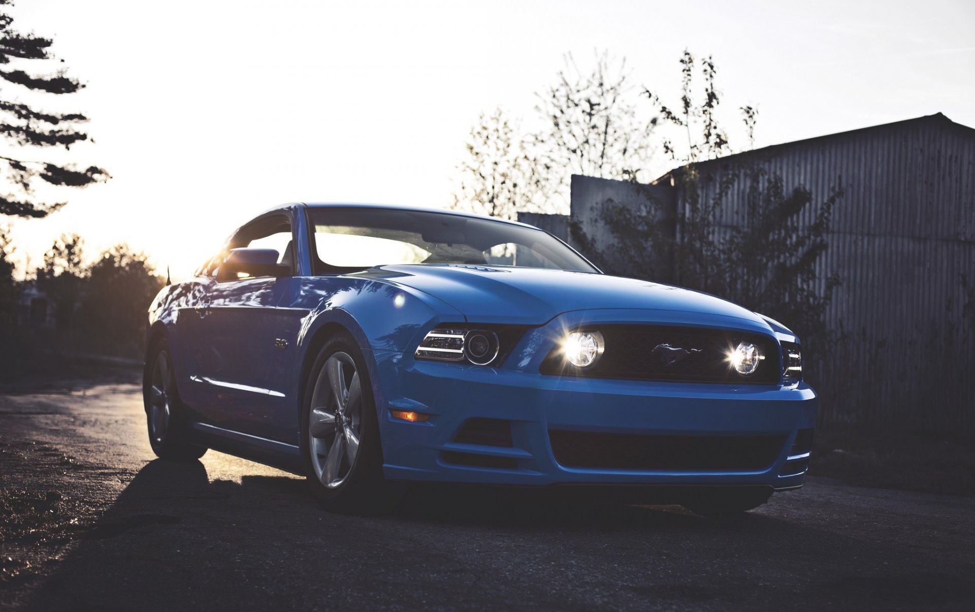 ford mustang gt 5.0 blue muscle car