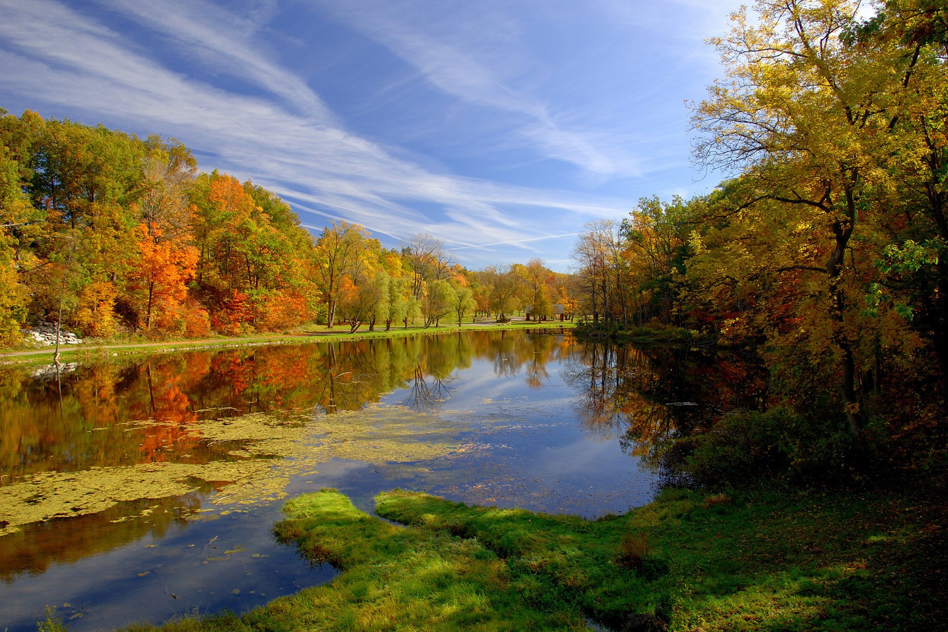 natura autunno parco stagno