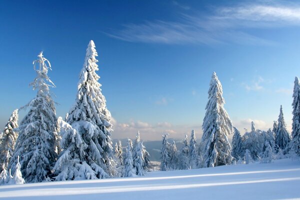 Superficie innevata incantata sul pendio