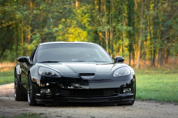 Carchevrolet corvette parmi les arbres verts sur la route