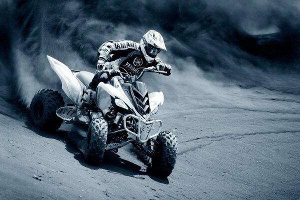 Courage, racer, sand and wildness