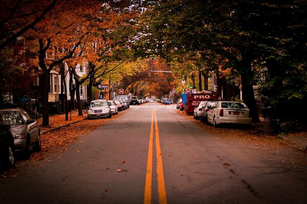 Eine herbstliche Straße in Cambridge ist mit gefällten Blättern mit Autos am Straßenrand übersät