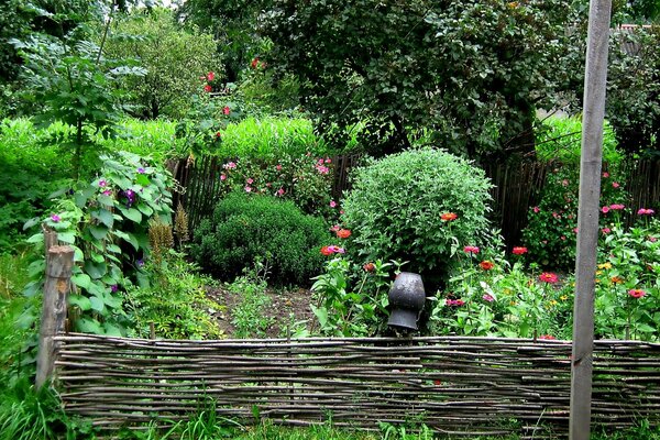 Green landscape with fence and jug