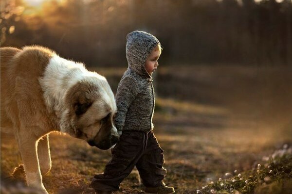 A little boy and a big dog